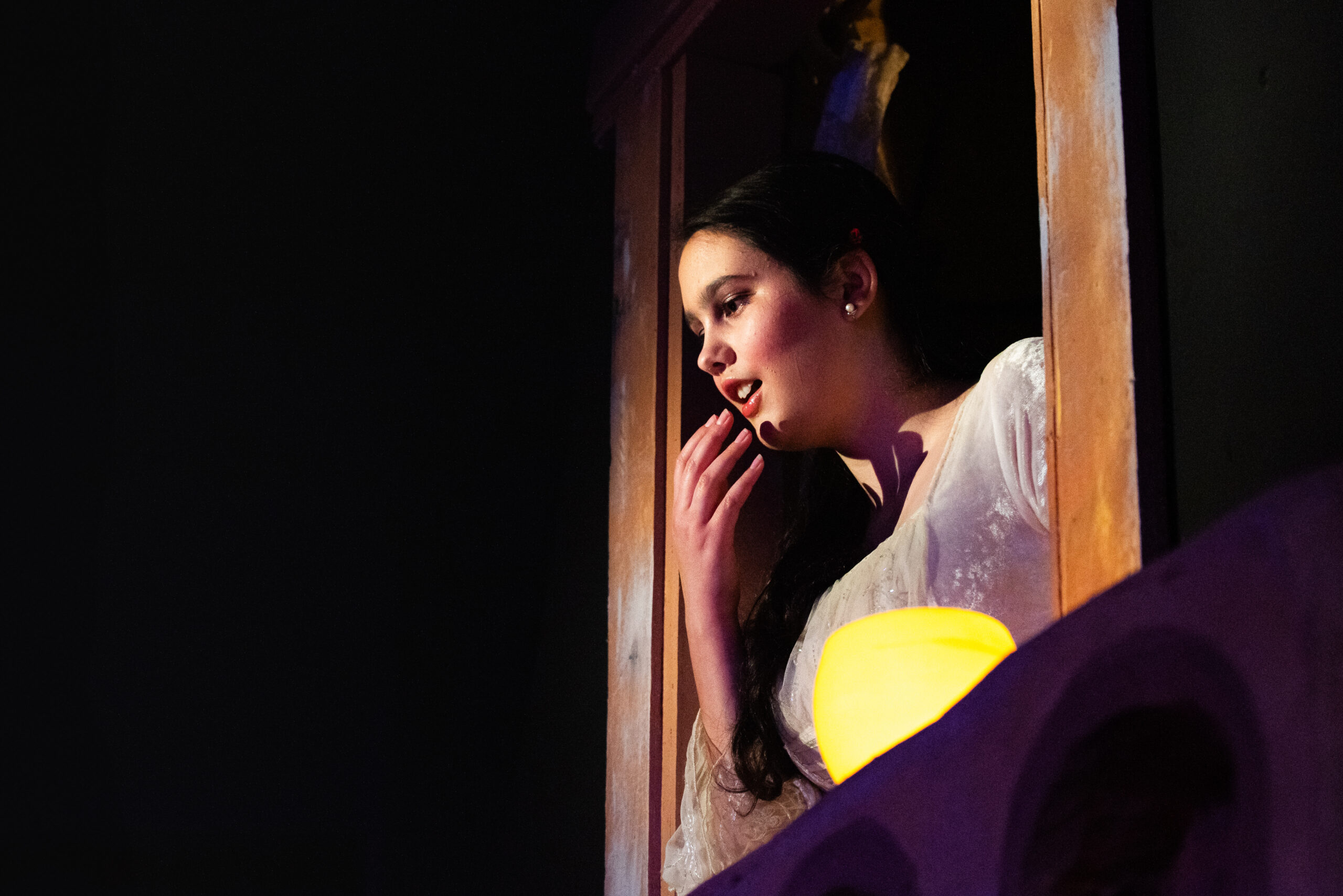 Romeo & Juliet 2025 - Dorrigo Photographic Services